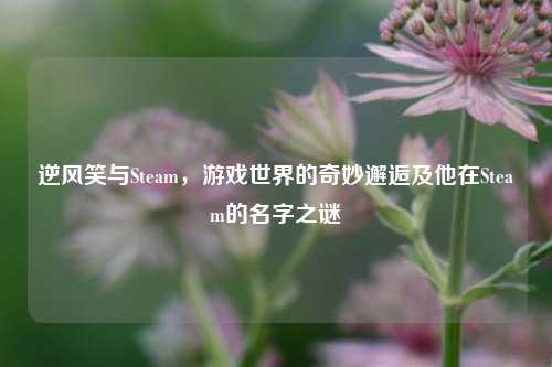 逆风笑与Steam，游戏世界的奇妙邂逅及他在Steam的名字之谜