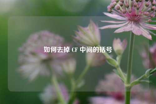 如何去掉 CF 中间的括号