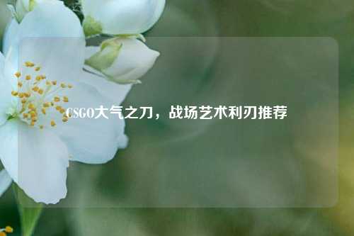 CSGO大气之刀，战场艺术利刃推荐