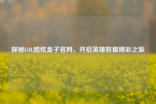 探秘LOL酷炫盒子官网，开启英雄联盟精彩之旅