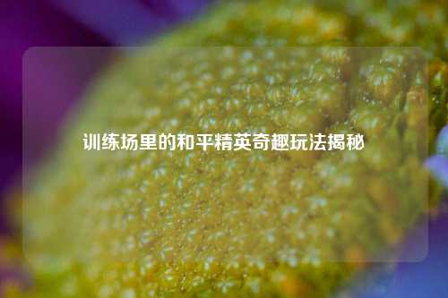 训练场里的和平精英奇趣玩法揭秘