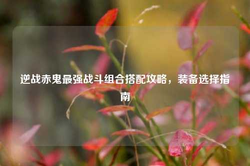 逆战赤鬼最强战斗组合搭配攻略，装备选择指南