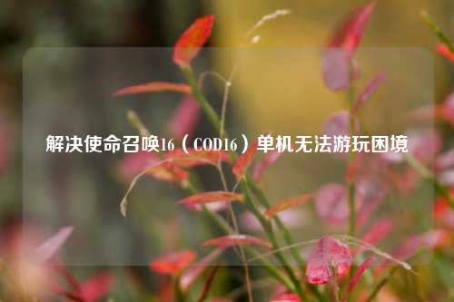解决使命召唤16（COD16）单机无法游玩困境