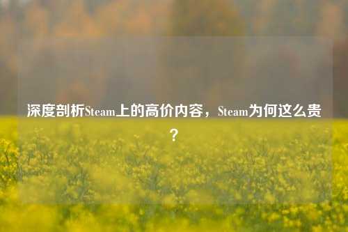 深度剖析Steam上的高价内容,Steam为何这么贵?