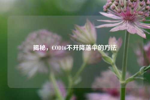 揭秘,COD16不开降落伞的方法
