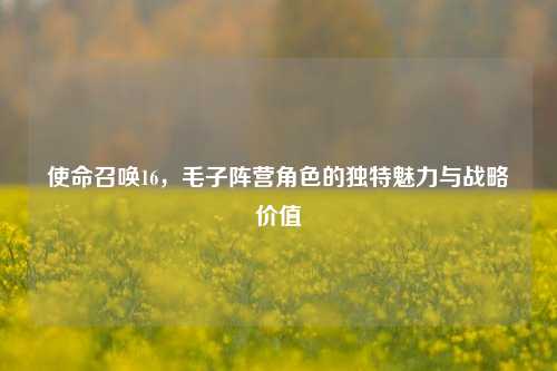 使命召唤16，毛子阵营角色的独特魅力与战略价值