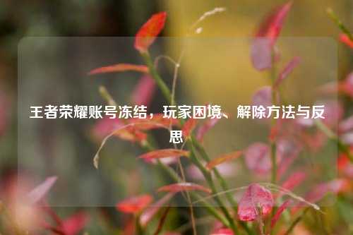 王者荣耀账号冻结,玩家困境、解除方法与反思