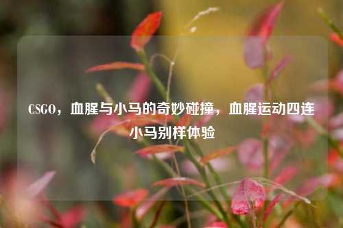 CSGO，血腥与小马的奇妙碰撞，血腥运动四连小马别样体验
