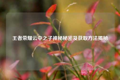 王者荣耀云中之子神秘秘密及获取方法揭秘
