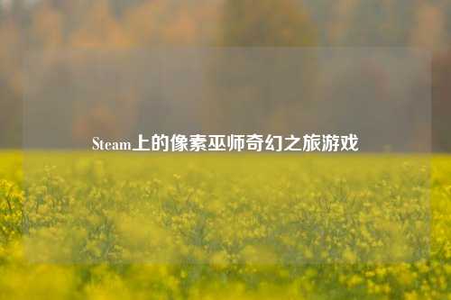 Steam上的像素巫师奇幻之旅游戏