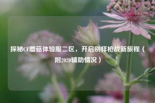 探秘CF蘑菇体验服二区，开启别样枪战新旅程（附2020辅助情况）