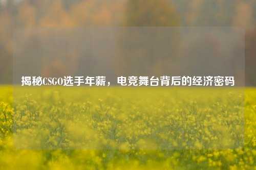 揭秘CSGO选手年薪，电竞舞台背后的经济密码