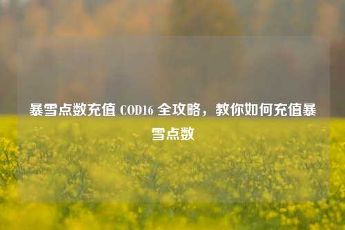 暴雪点数充值 COD16 全攻略,教你如何充值暴雪点数