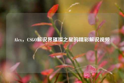 Alex，CSGO解说界璀璨之星的精彩解说视频
