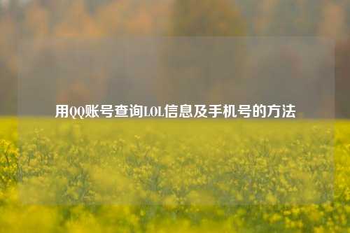 用QQ账号查询LOL信息及手机号的方法