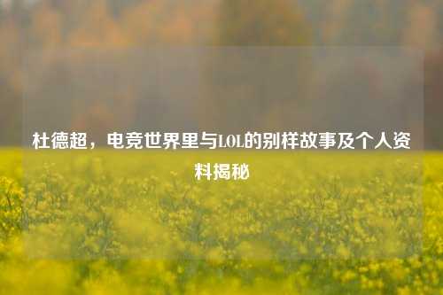 杜德超，电竞世界里与LOL的别样故事及个人资料揭秘
