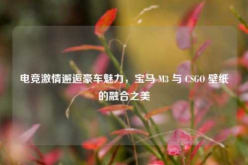 电竞激情邂逅豪车魅力,宝马 M3 与 CSGO 壁纸的融合之美