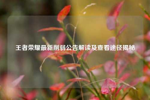 王者荣耀最新削弱公告解读及查看途径揭秘