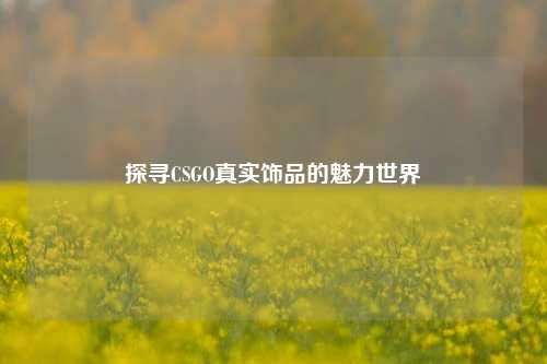 探寻CSGO真实饰品的魅力世界