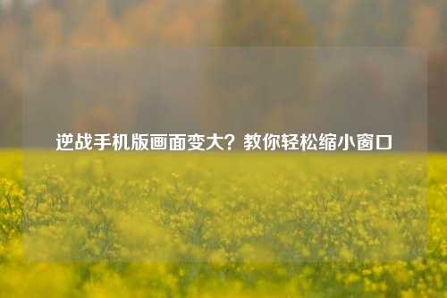 逆战手机版画面变大?教你轻松缩小窗口