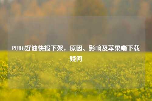 PUBG好油快报下架，原因、影响及苹果端下载疑问