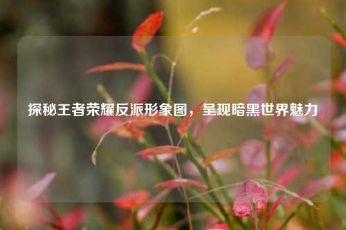 探秘王者荣耀反派形象图，呈现暗黑世界魅力