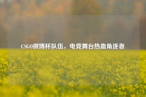 CSGO微博杯队伍，电竞舞台热血角逐者