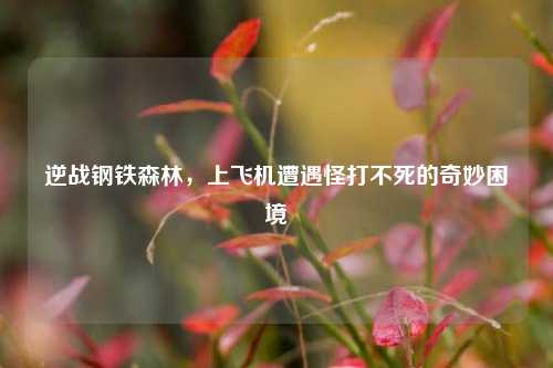 逆战钢铁森林，上飞机遭遇怪打不死的奇妙困境