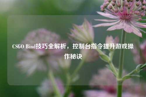 CSGO Bind技巧全解析，控制台指令提升游戏操作秘诀