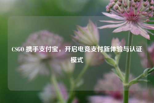 CSGO 携手支付宝，开启电竞支付新体验与认证模式
