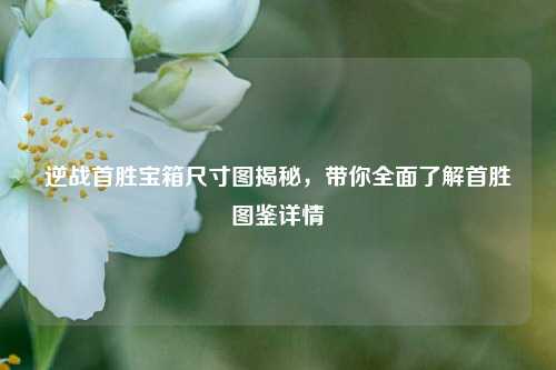 逆战首胜宝箱尺寸图揭秘,带你全面了解首胜图鉴详情