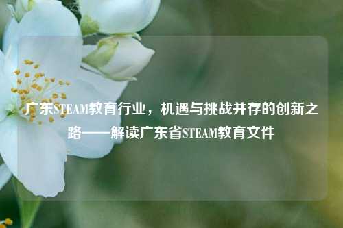 广东STEAM教育行业，机遇与挑战并存的创新之路——解读广东省STEAM教育文件