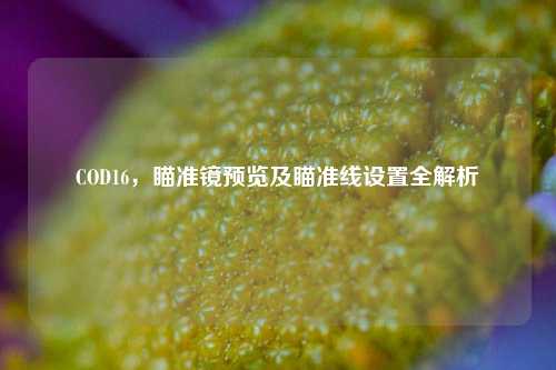COD16,瞄准镜预览及瞄准线设置全解析