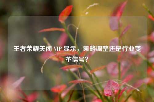 王者荣耀关闭 VIP 显示，策略调整还是行业变革信号？