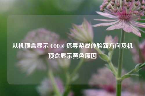 从机顶盒显示 COD16 探寻游戏体验新方向及机顶盒显示黄色原因