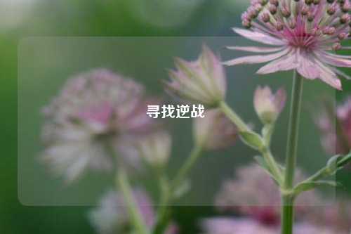 寻找逆战