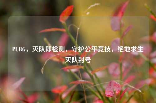 PUBG，灭队即检测，守护公平竞技，绝地求生灭队封号