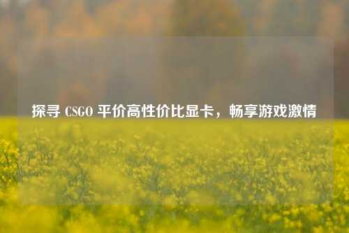 探寻 CSGO 平价高性价比显卡，畅享游戏激情