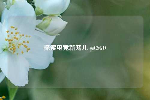 探索电竞新宠儿 gsCSGO
