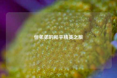 恒弟弟的和平精英之旅