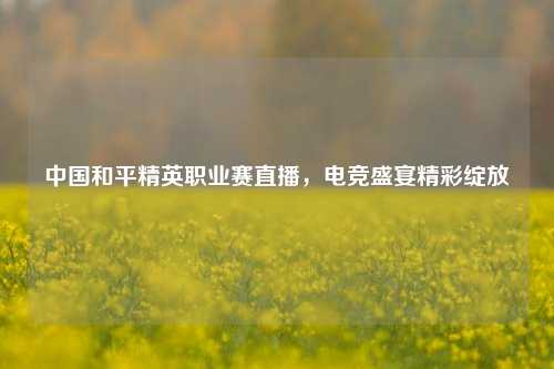 中国和平精英职业赛直播,电竞盛宴精彩绽放