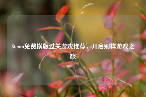 Steam免费横版过关游戏推荐，开启别样游戏之旅