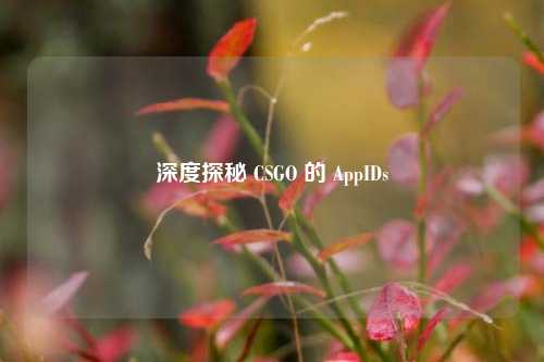 深度探秘 CSGO 的 AppIDs