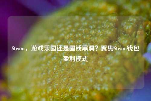 Steam,游戏乐园还是圈钱黑洞?聚焦Steam钱包盈利模式
