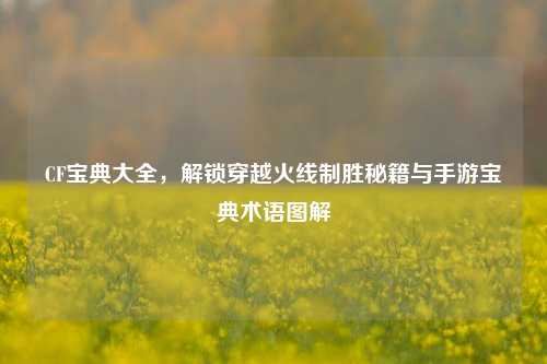 CF宝典大全,解锁穿越火线制胜秘籍与手游宝典术语图解