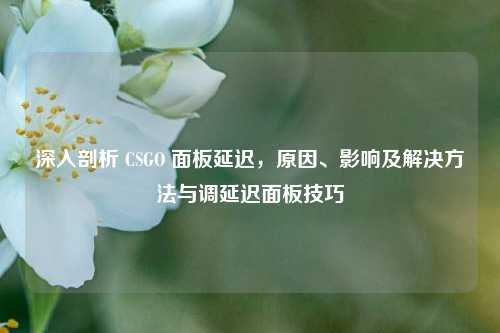 深入剖析 CSGO 面板延迟,原因、影响及解决方法与调延迟面板技巧