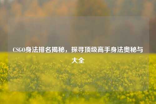 CSGO身法排名揭秘，探寻顶级高手身法奥秘与大全