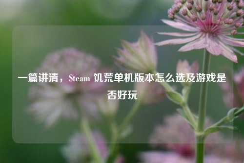 一篇讲清,Steam 饥荒单机版本怎么选及游戏是否好玩