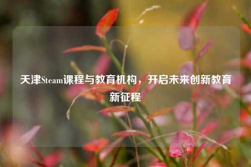 天津Steam课程与教育机构,开启未来创新教育新征程