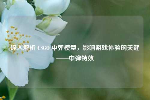深入解析 CSGO 中弹模型,影响游戏体验的关键——中弹特效